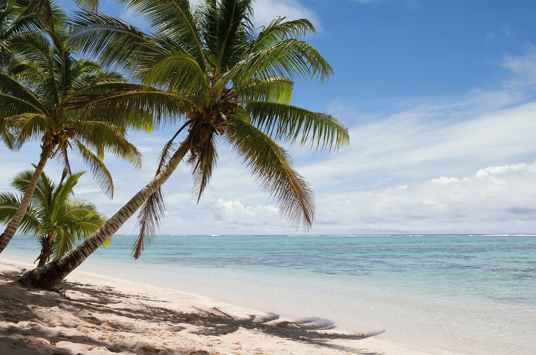 5 Days, 4 Nights Watamu–Malindi-Mombasa Vacation